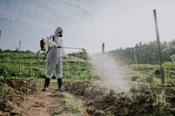 Best Best Pest Control Companies  in Seven Corners, VA