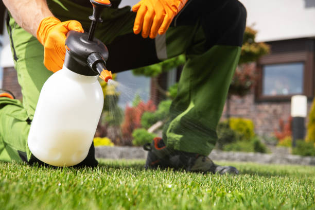 Pest Control for Restaurants in Seven Corners, VA