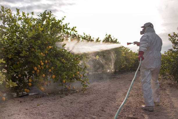 Best Pest Removal Services  in Seven Corners, VA