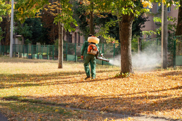 Best Pest Prevention Services  in Seven Corners, VA