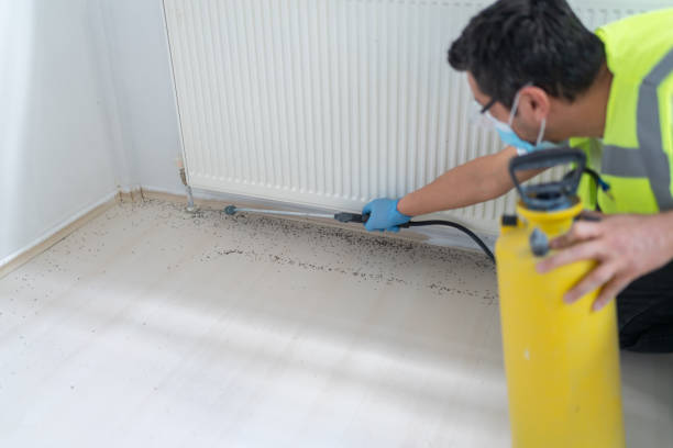 Best Commercial Pest Control Services  in Seven Corners, VA