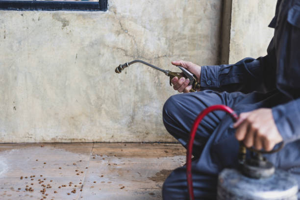 Best Pest Control for Businesses  in Seven Corners, VA